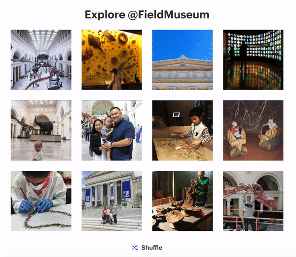 Field Museum custom gallery homepage