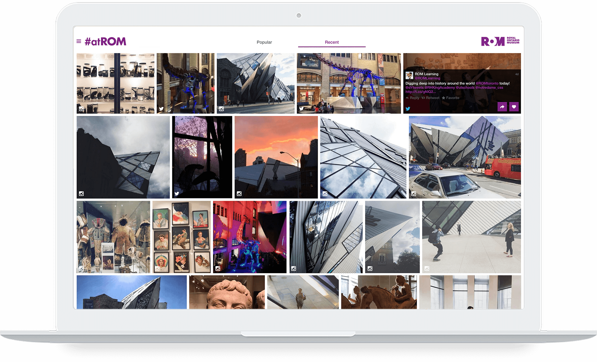 Rom case study cannes 08 picture