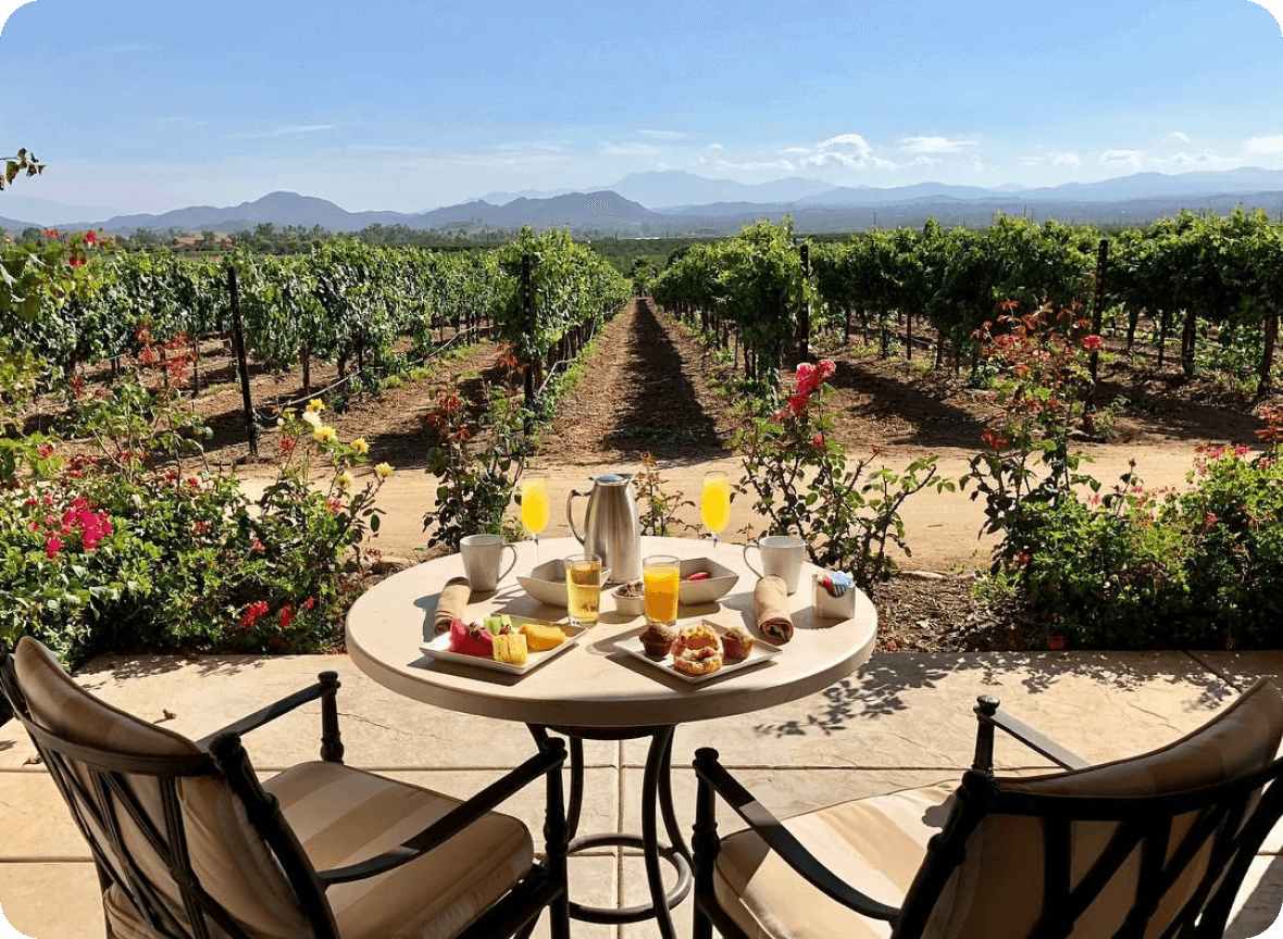 How Eye-Catching Visuals Power Visit Temecula Valley’s Content Strategy