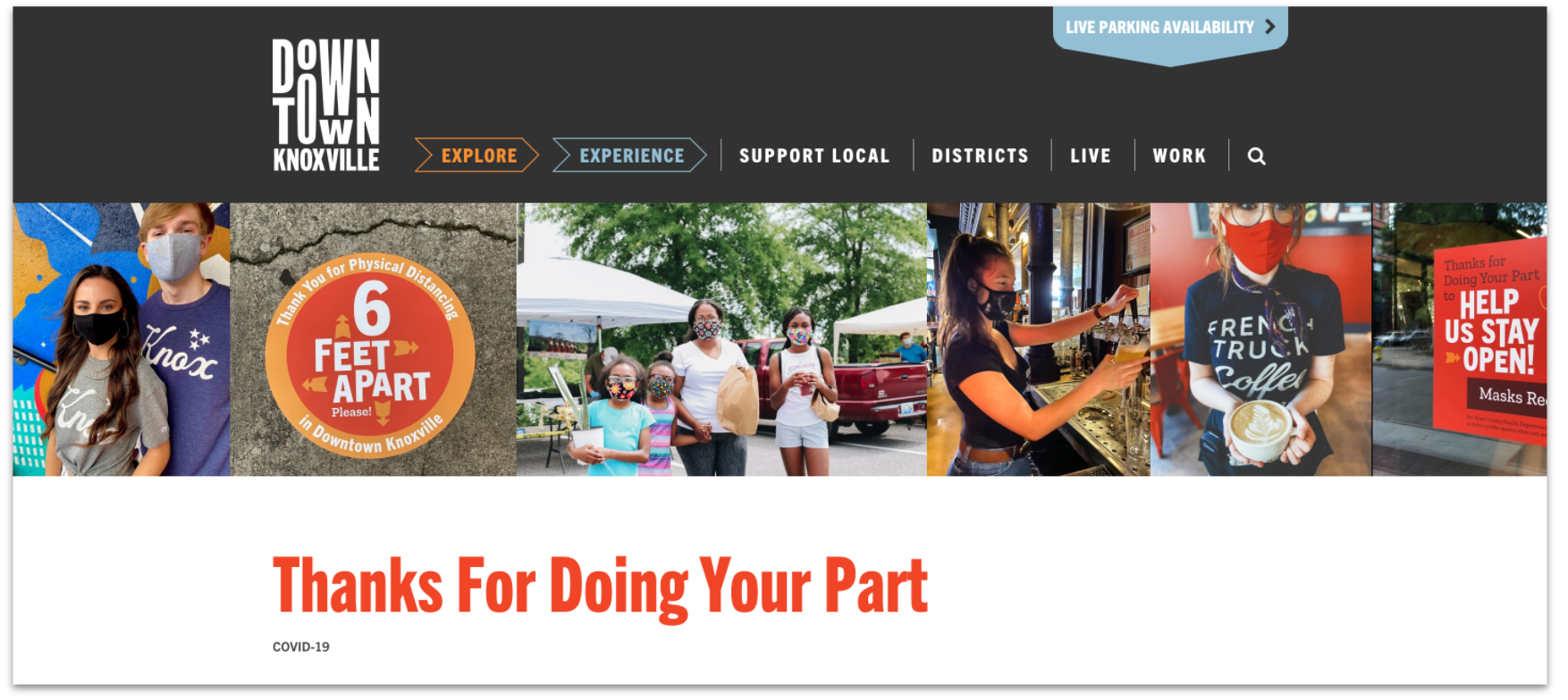 Downtown Knoxville Alliance website reminding people to support local