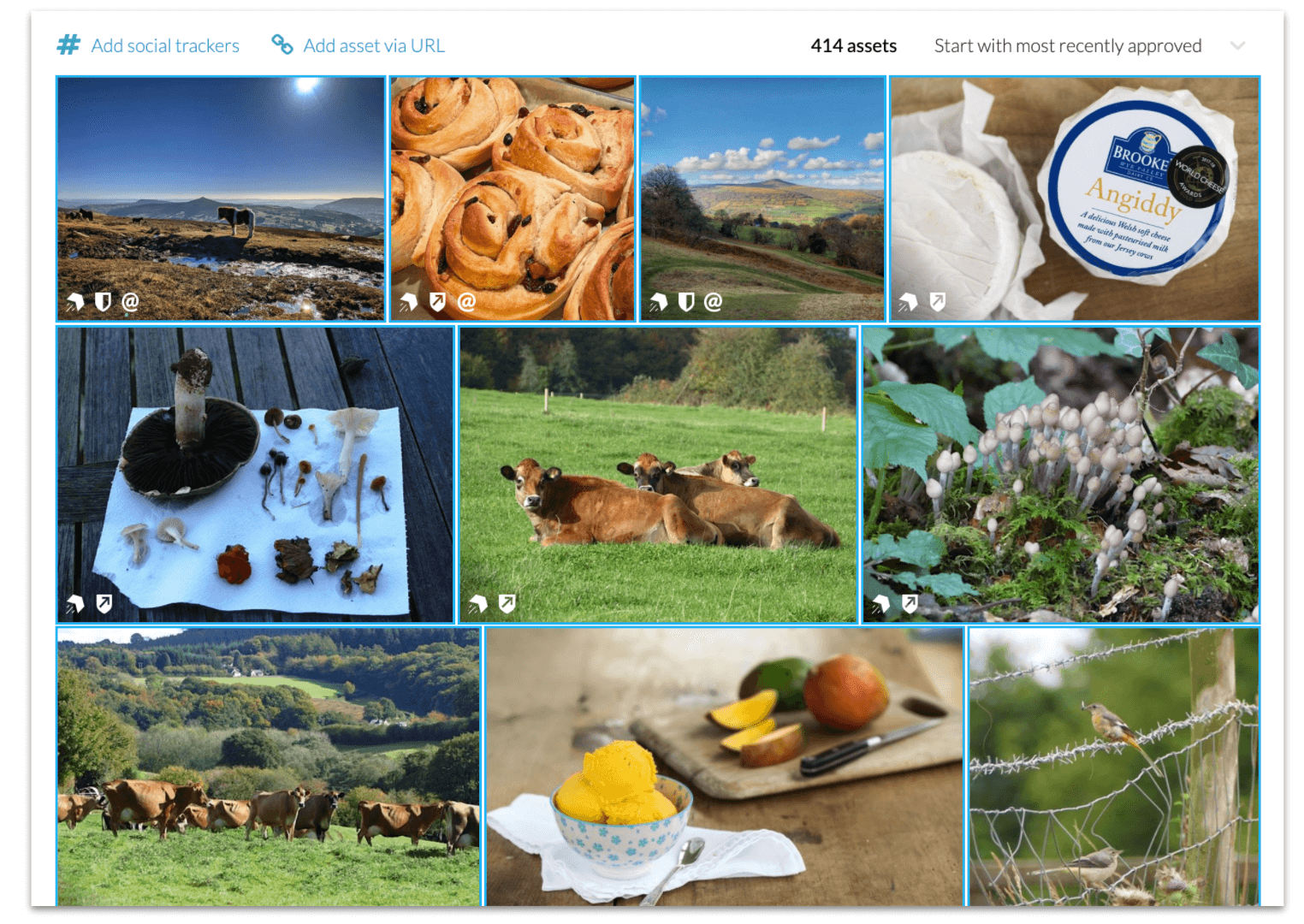 Visit Monmouthshire's rights approved user-generated content photo wall in CrowdRiff