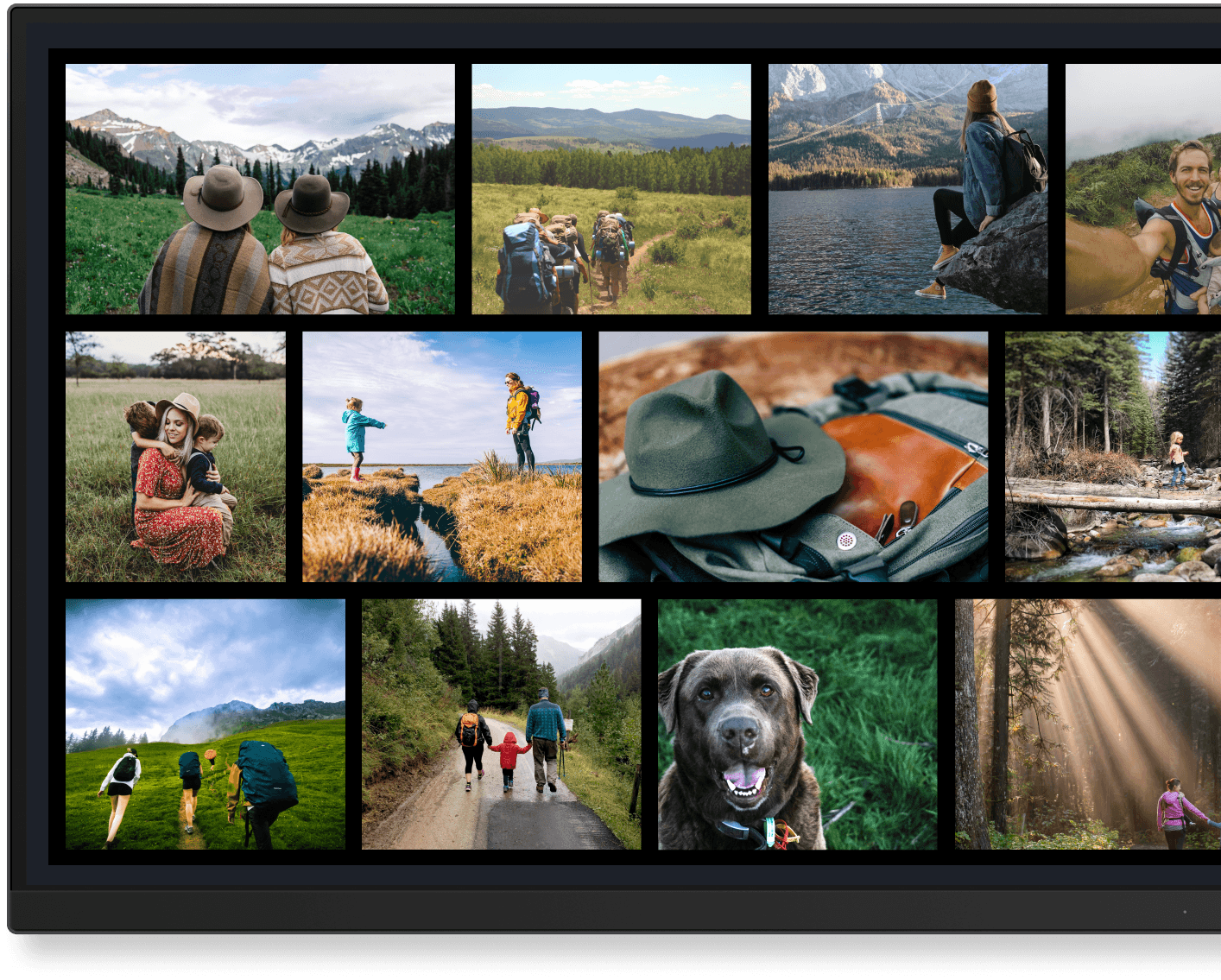 Let's showcase these visuals throughout our property